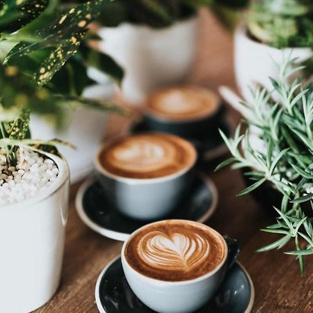 Ganze Ferienwohnung 5 Km Von Erfurt, Mit Kaffeevollautomat, Tv, Wlan, Boxspringbett, Schlafsofa Und Einkaufsmoeglichkeiten, Sehr Gute Anbindung Zur A71 Und A4, Kostenloser Oeff Parkplatz Fuer Pkw Und Transporter Elxleben Zewnętrze zdjęcie
