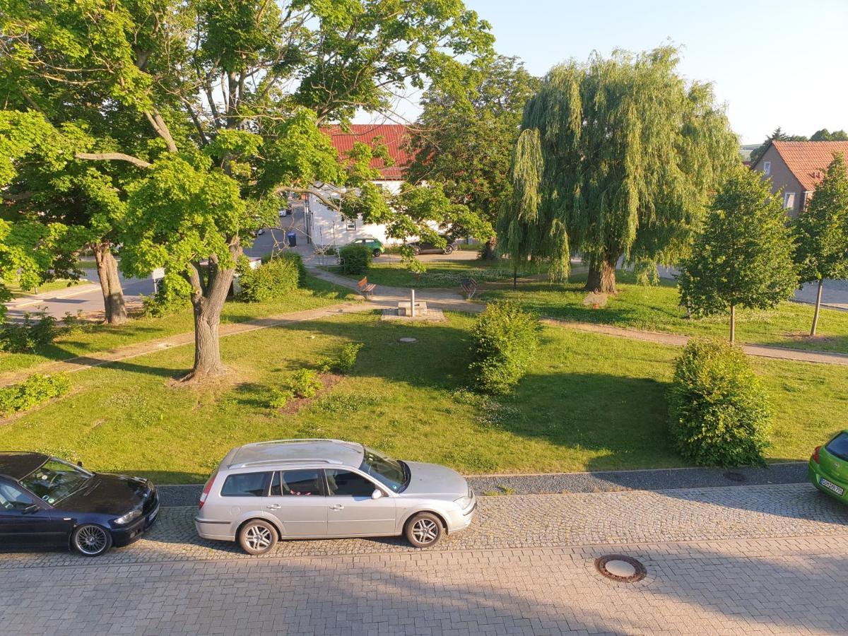 Ganze Ferienwohnung 5 Km Von Erfurt, Mit Kaffeevollautomat, Tv, Wlan, Boxspringbett, Schlafsofa Und Einkaufsmoeglichkeiten, Sehr Gute Anbindung Zur A71 Und A4, Kostenloser Oeff Parkplatz Fuer Pkw Und Transporter Elxleben Zewnętrze zdjęcie